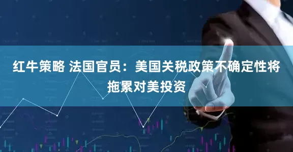 红牛策略 法国官员：美国关税政策不确定性将拖累对美投资