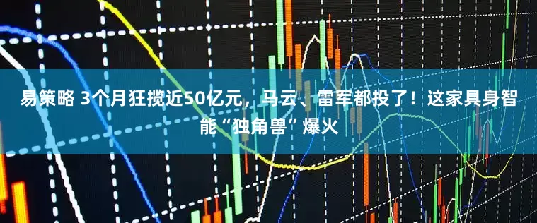 易策略 3个月狂揽近50亿元，马云、雷军都投了！这家具身智能“独角兽”爆火